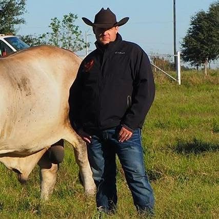 Ben Cunningham with Brahman cattle