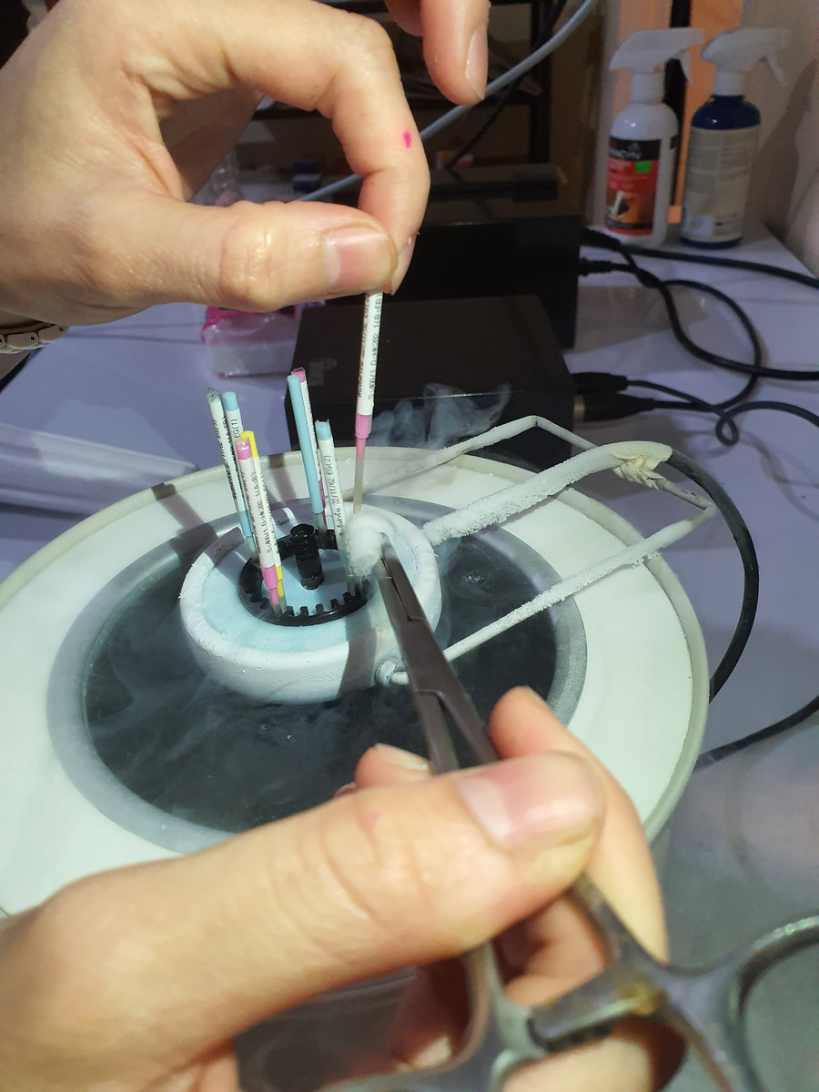 Semen straws lifted from a liquid-nitrogen tank