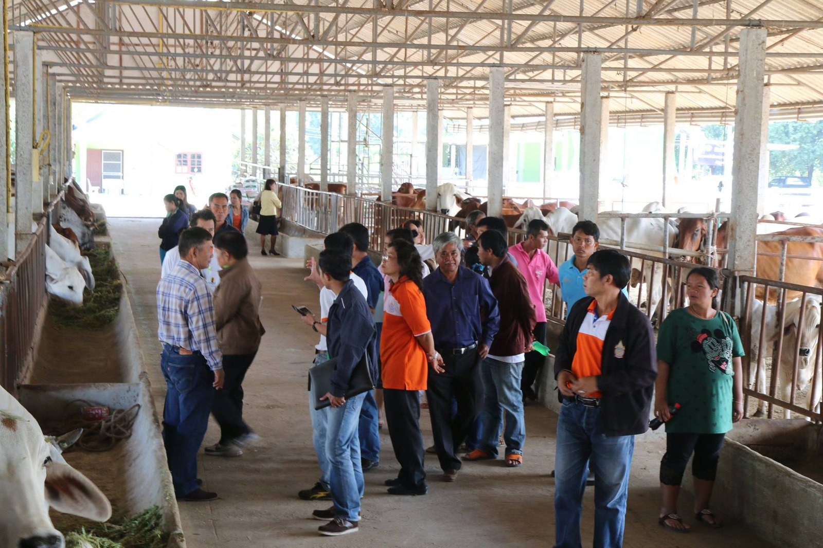 Visitors' day in the barn at the Thai farm